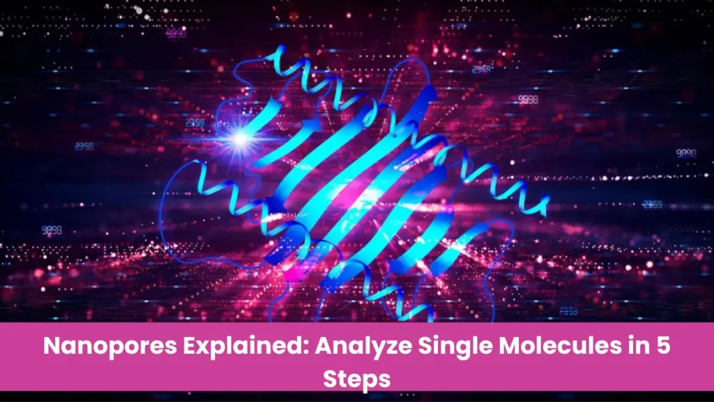 Nanopores Explained Analyze Single Molecules in 5 Steps