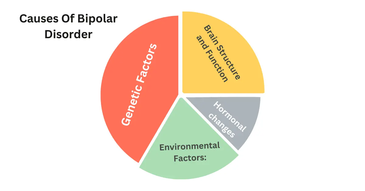 Causes Of Bipolar Disorder