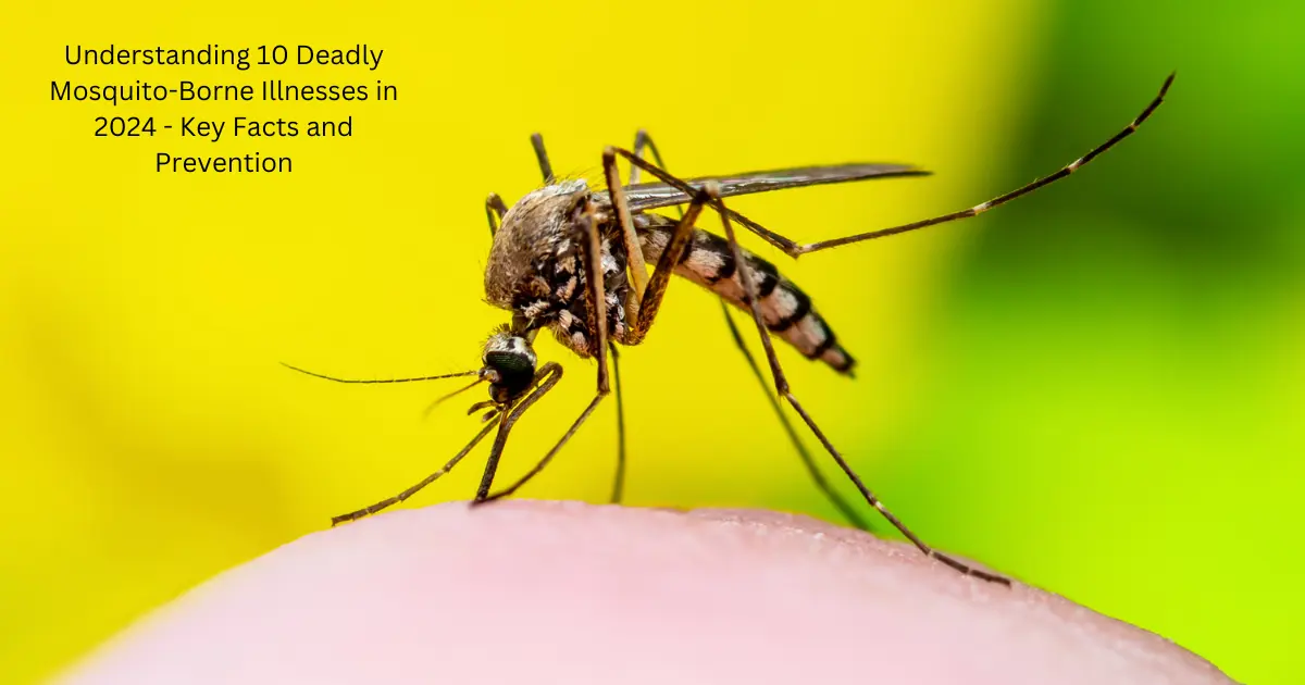 Understanding 10 Deadly Mosquito-Borne Illnesses in 2024 - Key Facts and Prevention